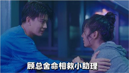  短剧顾总的潜逃罪妻全集观看，顾总的潜逃罪妻免费全集在线观看--第1张