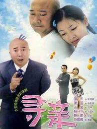  短剧寻亲全集观看--第1张