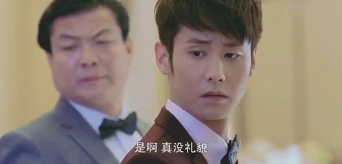  短剧冷总的绝情前妻全集观看，揭秘霸道总裁的深情与绝情--第1张