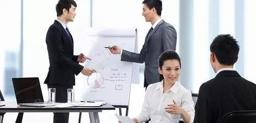  短剧职场情途全集观看——职场与情感的交织之路--第1张
