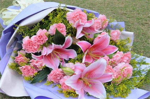  各种花的花语寓意，花的寓意与花语，各种花的花语寓意--第1张