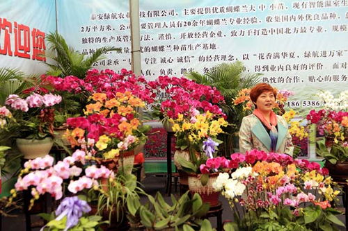  中国花卉苗木网站平台，一站式花卉苗木交易平台，中国花卉苗木一站式交易平台，打造花卉苗木领域的便捷交易平台--第1张