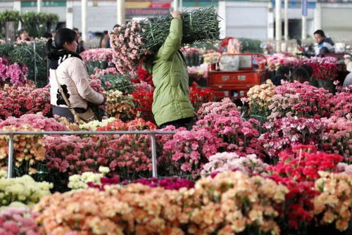  东莞鲜花配送店，传递美好，传递爱--第1张