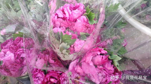  春天的花语，描绘花开之美，春天的花语，绽放的花朵之美--第1张
