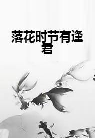  短剧落花时节再逢君全集观看，落花时节再逢君全集在线观看--第1张