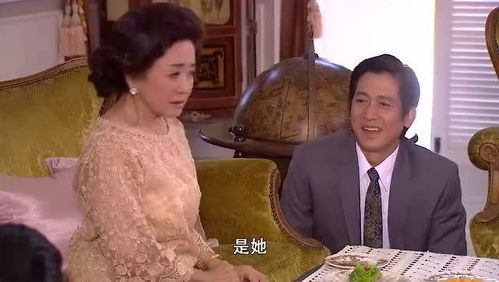  短剧财阀继承人全集观看，揭秘财阀家族的权力斗争与爱情纠葛--第1张