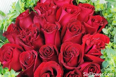  17朵玫瑰的花语，浪漫之花，17朵玫瑰的花语--第1张