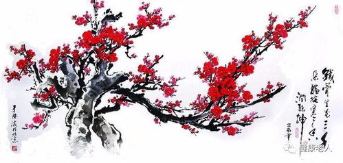  花中四君子指的是梅花、兰花、竹、菊花。--第1张