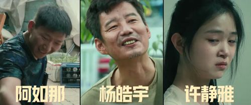  短剧傅总你长点脑子吧离婚后傅总要倒贴全集观看，傅总离婚后全集免费观看，短剧傅总你长点脑子吧，傅总要倒贴--第1张