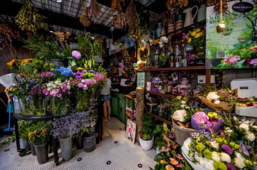 厚街天天鲜花花店，鲜花的温馨之家，地址详解--第1张