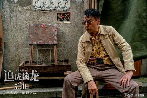  短剧新擒龙全集观看--第1张