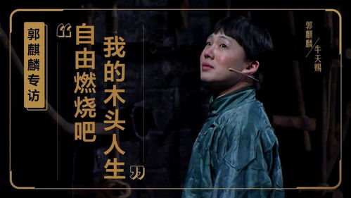 短剧天赐全集观看，短剧天赐全集在线观看，一部充满惊喜的喜剧短剧--第1张