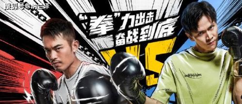  短剧拳力以赴全集观看--第1张