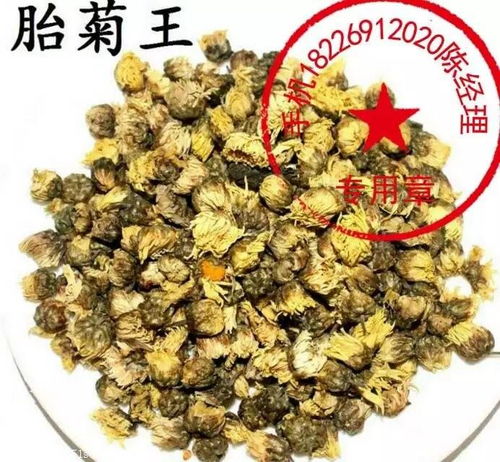  胎菊的功效与作用，胎菊的养生功效与作用--第1张