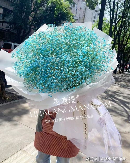  送满天星的寓意是什么，送满天星的浪漫寓意--第1张