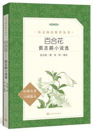  百合花，茹志鹃笔下的美丽与坚韧，百合花中的美丽与坚韧--第1张