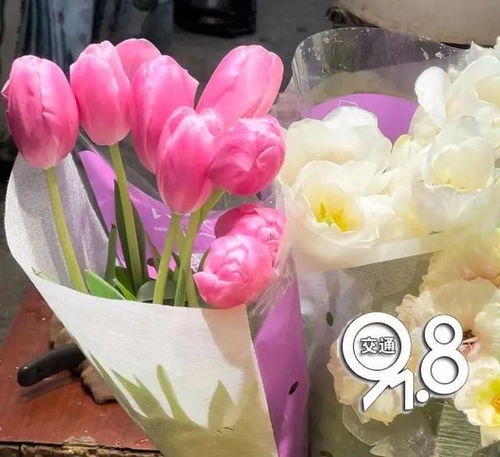  玫瑰花的含义，美丽、爱情、永恒的象征--第1张