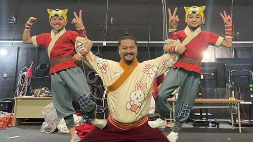  短剧黄金宝术全集观看，黄金宝术全集，短剧版--第1张