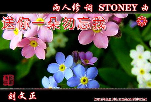  勿忘我歌曲--第1张