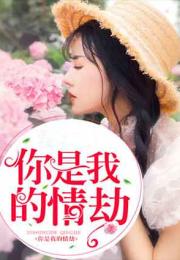  短剧一见君来误此生全集观看，一见君来误此生全集，短剧剧情引人入胜--第1张