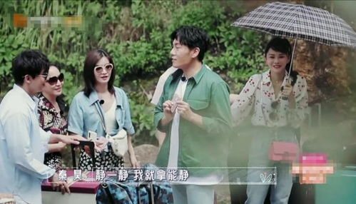  短剧一胎三宝替嫁妈咪放肆宠全集观看，一胎三宝替嫁妈咪放肆宠全集在线观看--第1张