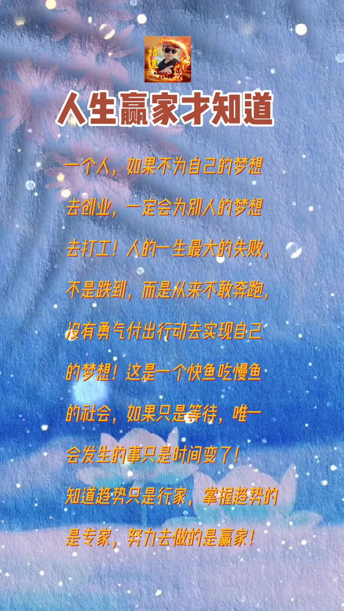  短剧人生大赢家长篇版全集观看--第1张