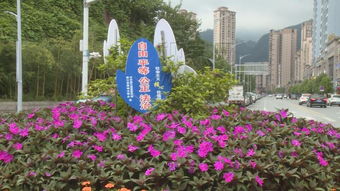  垫江花店网上订花，便捷、高效的花卉购买新体验--第1张