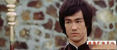  短剧龙争虎斗全集观看，短剧龙争虎斗全集在线观看，精彩短剧不容错过--第1张