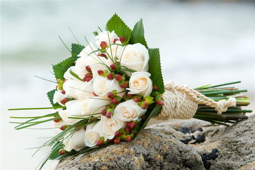  19朵爱莎玫瑰的花语，无尽的爱，19朵爱莎玫瑰的花语，无尽的爱，永恒的爱意。--第1张