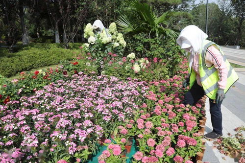  宜昌花店，传递美丽与温馨的使者，宜昌花店，传递美丽与温馨的使者--第1张