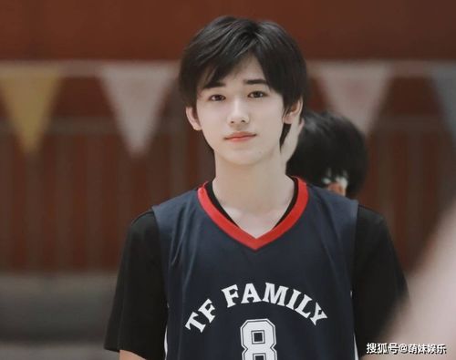  短剧宋总她才是你要找的颜小姐全集观看，颜小姐的秘密身份，宋总与短剧女神的较量--第1张