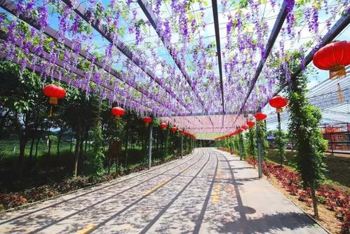  缤纷鲜花网站——打造您的专属花海世界--第1张