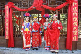  短剧护国驸马爷一国驸马护山河全集观看，护国驸马爷全集，一国驸马护山河--第1张