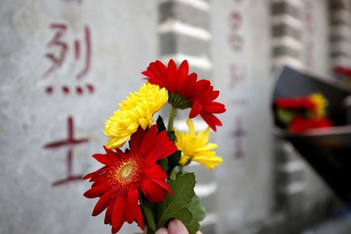  最美丽漂亮鲜花图片--第1张