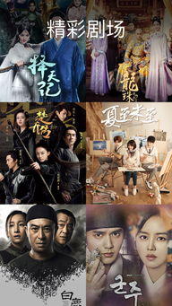  短剧命定婚宠全集观看--第1张