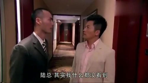  短剧得罪老板后他惩罚我做他新娘全集观看，得罪老板后我被迫成为他的新娘，短剧完整版--第1张