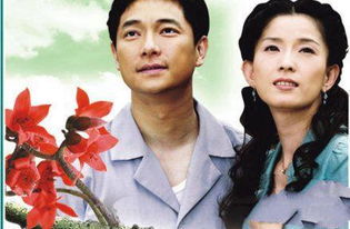  木棉花的春天歌曲，木棉花的春天之歌--第1张