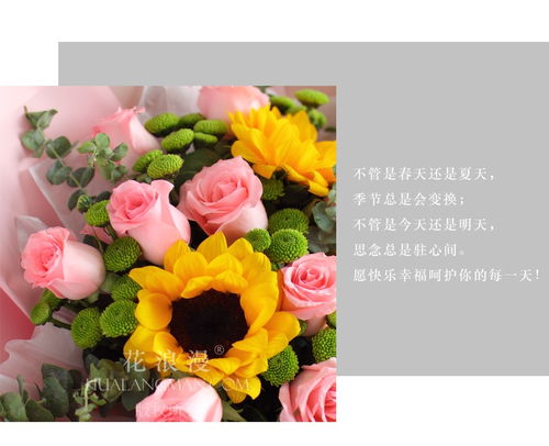  深圳鲜花配送哪个平台好--第1张