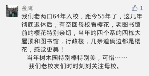  短剧你是我的独家记忆全集观看，一段深情难忘的回忆，独家记忆，短剧你是我的回忆--第1张