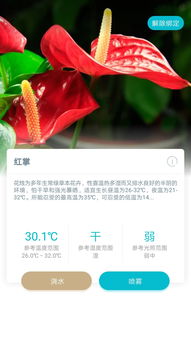  预订鲜花的APP——您的贴心选择--第1张