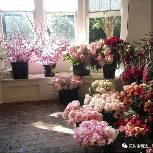 深圳鲜花店，传递美丽与温馨的使者--第1张