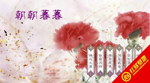  短剧朝朝暮暮都是你全集观看--第1张