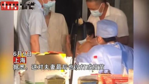 短剧一纸婚约全集，揭开爱情与婚姻的神秘面纱，短剧一纸婚约，爱情与婚姻的神秘面纱--第1张
