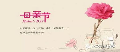  母亲花，一种永恒的母爱象征，永恒母爱的象征之谜--第1张