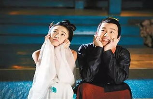  短剧太子妃养成记全集观看，太子妃成长记，妃你不可--第1张