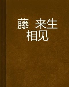  短剧叶总来生不愿再相见全集观看--第1张