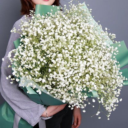  白色满天星花语，白色满天星的花语是纯洁、浪漫、守护爱情、思念和无尽的祝福。--第1张