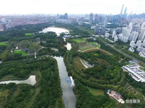  中国花木市场的繁荣景象，绿色经济的璀璨明珠，中国花木市场，绿色经济的璀璨明珠--第1张