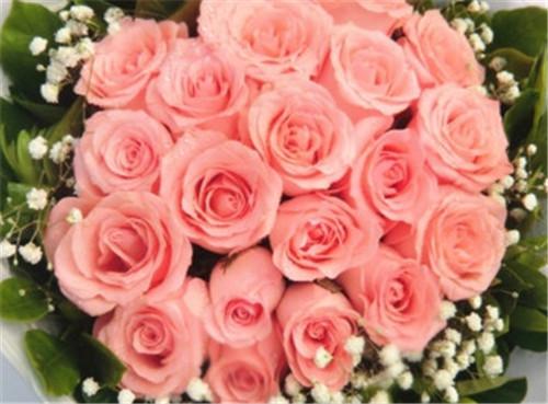  18朵玫瑰花的花语是什么，18朵玫瑰花的花语，浪漫、永恒的爱情--第1张