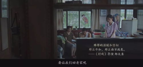  短剧逆风明瞳全集观看，逆风明瞳全集在线观看，短剧逆风中绽放的明瞳--第1张